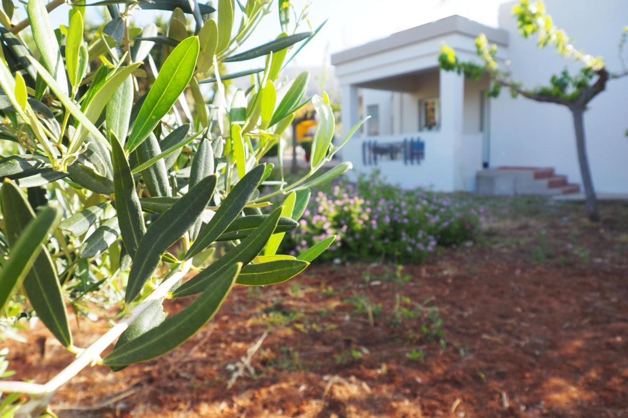 Willa Olive House Mália Zewnętrze zdjęcie